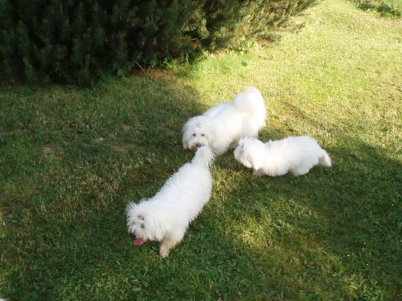 darry-eli-oli.jpg