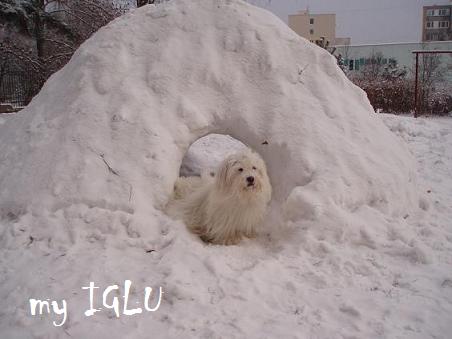 Elinkine iglu