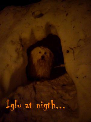 nočné iglu