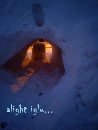 podvečerné iglu