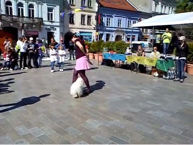foto4