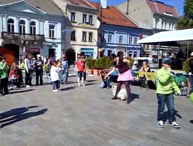 foto8