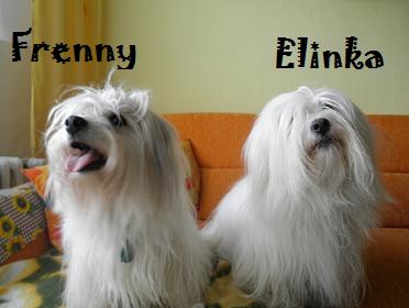 Frenny a Eli 