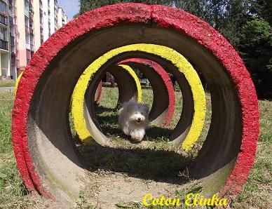 agility - murovaný tunel