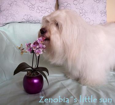 ochutnávka