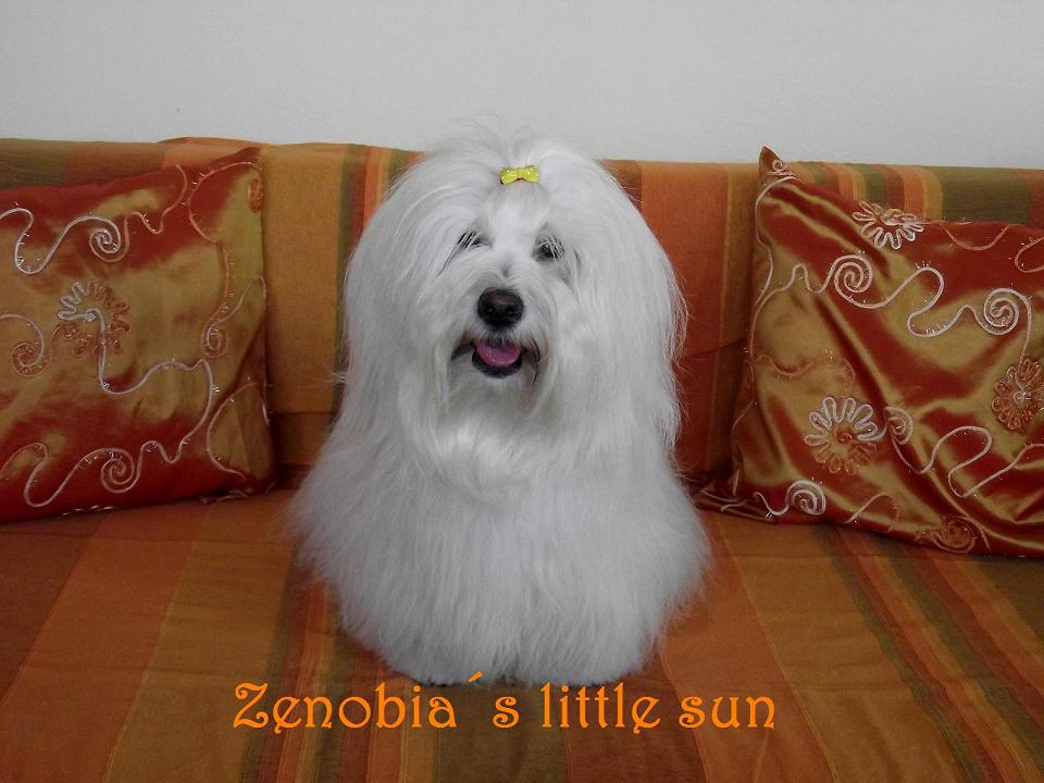 vykúpaná 