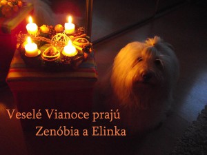 2011 vianocne prianie